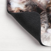 Drie mooie en schattige kittens waterverf muismat (Hoek)