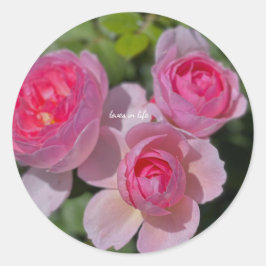 Drie Mooie Roze Rozen Ronde Sticker