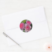 Drie Mooie Roze Rozen Ronde Sticker (Envelop)
