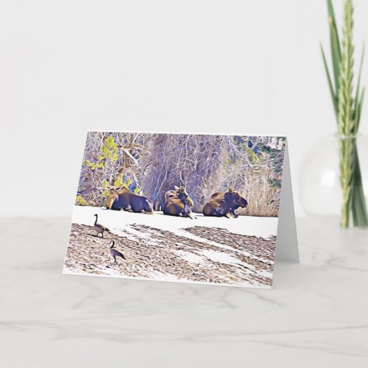 Drie Moose, notaris Notitiekaartje (Voorkant)