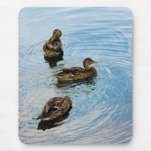 Drie Muismat (Voorkant)