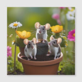 drie muizen in bloempotten, (Voorkant)