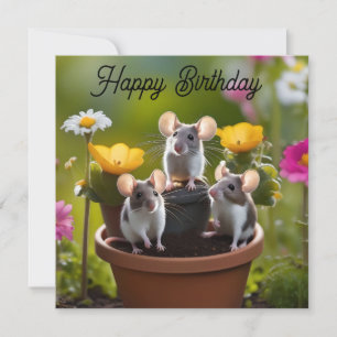 drie muizen in bloempotten,