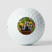 drie muizen in bloempotten, golfballen (Voorkant)