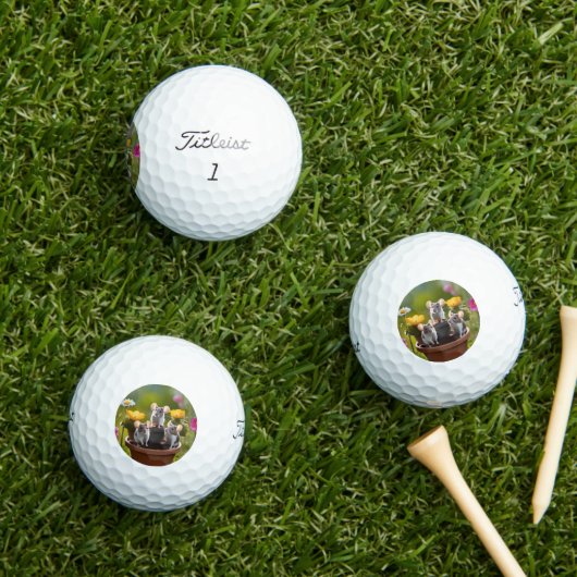 drie muizen in bloempotten, golfballen (Insitu Gras)