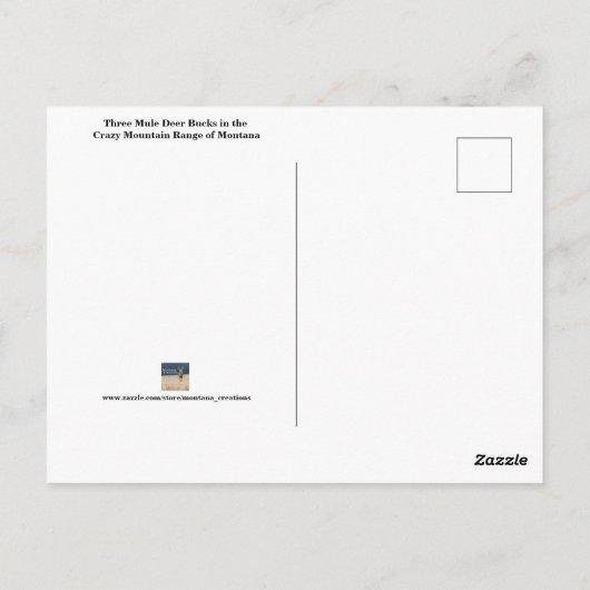 Drie Mule Deer Bucks Briefkaart (Achterkant)