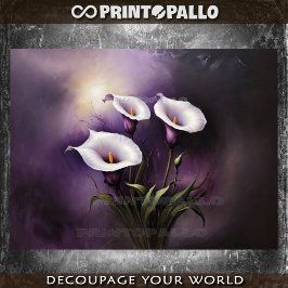Drie mysterieuze calla lily bloemen op paars tissuepapier
