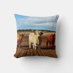 Drie Naughty Highland Koeien Kussen