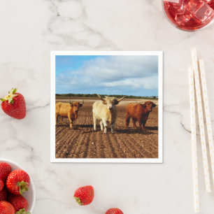Drie Naughty Highland Koeien, Papier Napkins Servet