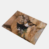 Drie nieuwsgierige kittens deurmat (Schuin)