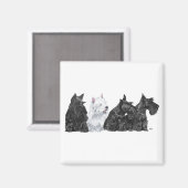 Drie nieuwsgierige Scotties en een Westie Magneet (Voorkant / Achterkant)