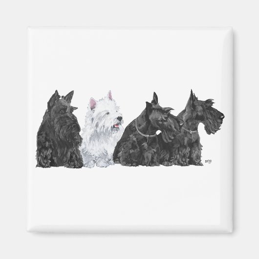 Drie nieuwsgierige Scotties en een Westie Magneet (Voorkant)