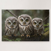 Drie Noordelijke Saw-Whet Owlets | Uilenliefhebber Legpuzzel (Horizontaal)