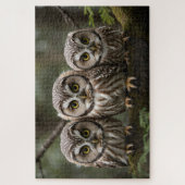 Drie Noordelijke Saw-Whet Owlets | Uilenliefhebber Legpuzzel (Verticaal)