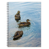 Drie Notitieboeken (Voorkant)