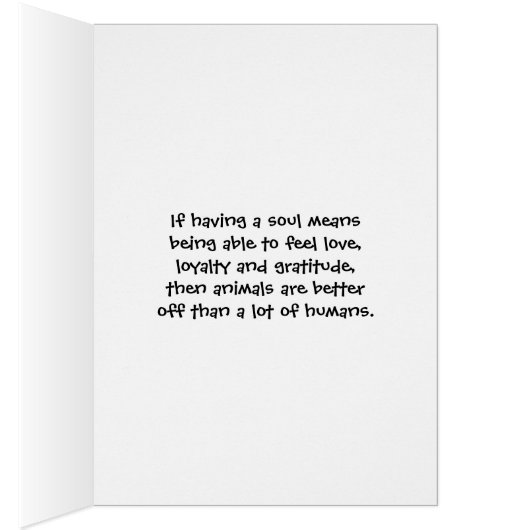 Drie Nova Scotia Duck Tolle Retrievers-kaart (Binnen (Rechts))