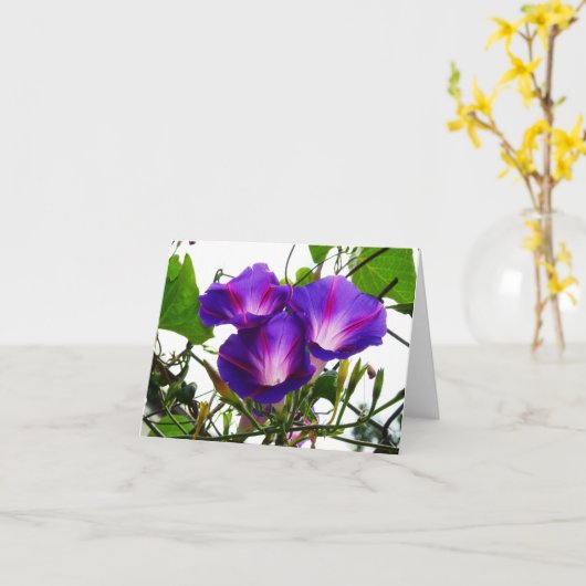 Drie ochtendgloriën kaart (Gele Bloem)