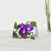 Drie ochtendgloriën kaart (Voorkant)