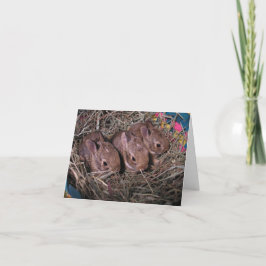 Drie Onder Elkaar Dankkaart Bedankkaart