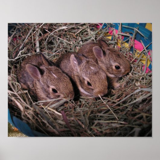 Drie op een rij poster (Voorkant)