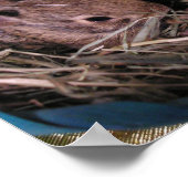 Drie op een rij poster (Hoek)