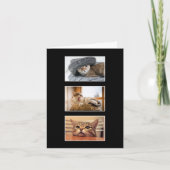Drie op maat gemaakte kattenfoto bedankkaart kaart (Voorkant)
