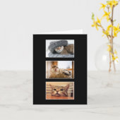 Drie op maat gemaakte kattenfoto bedankkaart kaart (Gele Bloem)