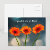 Drie Oranje Gerberas in een Briefkaart Rij (Voorkant / Achterkant)