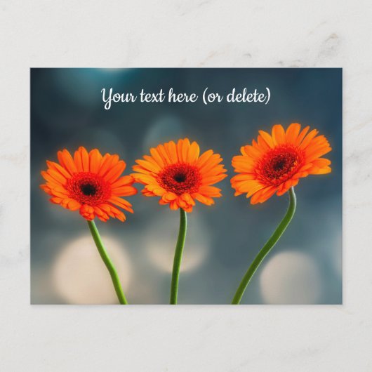 Drie Oranje Gerberas in een Briefkaart Rij (Voorkant)