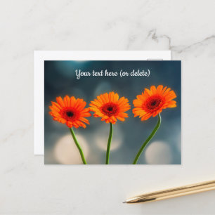 Drie Oranje Gerbera's in een Rij Ansichtkaart Briefkaart