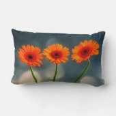 Drie Oranje Gerberas in een Row Lumbar-kussen Kussen (Achterkant)