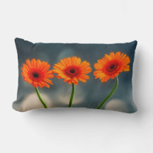 Drie Oranje Gerberas in een Row Lumbar-kussen