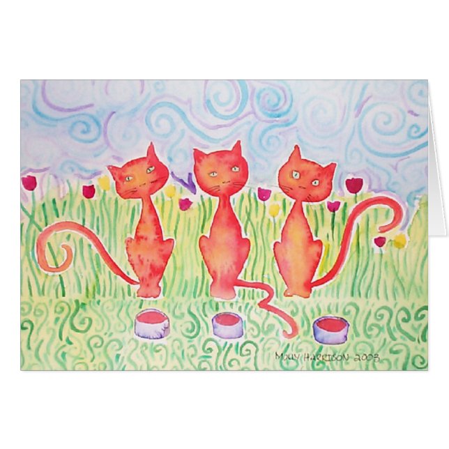 Drie Oranje Katten Kaart ~ Blanco (Voorkant Horizontaal)