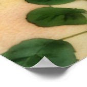 Drie Oranje Rozen Floral Art Poster (Hoek)