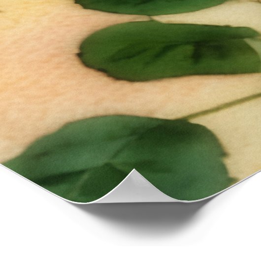 Drie Oranje Rozen Floral Art Poster (Hoek)