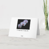 Drie Orchidee Wenskaarten Kaart (Achterkant)