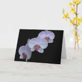 Drie Orchideeën Wenskaarten Kaart (Gele Bloem)