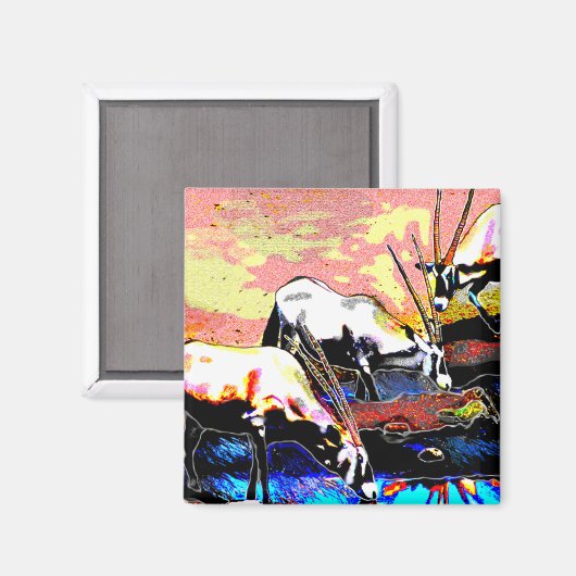 Drie Oryx Magneet (Voorkant / Achterkant)