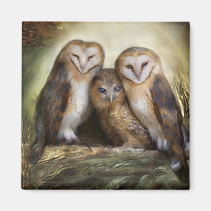 Drie Owl Moon Magnet