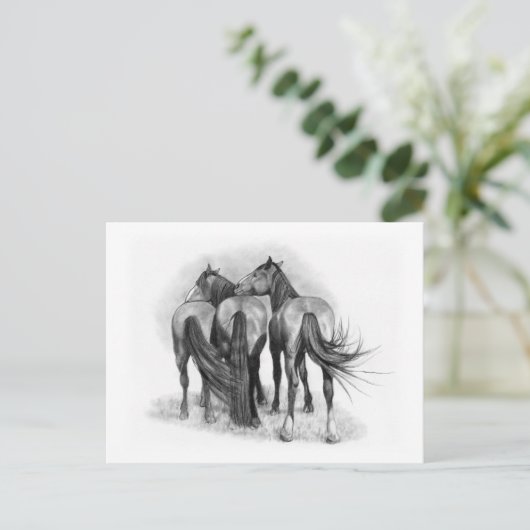 Drie paarden: Achteruiteinden: Aantasting: Potcil Briefkaart (Staand voorkant)
