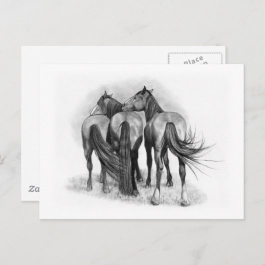 Drie paarden: Achteruiteinden: Aantasting: Potcil  Briefkaart (Voorkant / Achterkant)