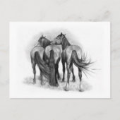 Drie paarden: Achteruiteinden: Aantasting: Potcil  Briefkaart (Voorkant)