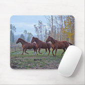 Drie paarden bewegen als een paardenliefhebber fot muismat (Met muis)