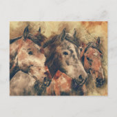 drie paarden briefkaart (Voorkant)