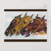 drie paarden briefkaart (Voorkant)