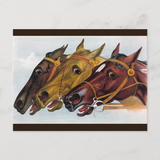 drie paarden briefkaart (Voorkant)