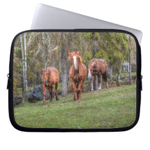 Drie Paarden Chestnut en Duns Equine-fotobos Laptop Sleeve