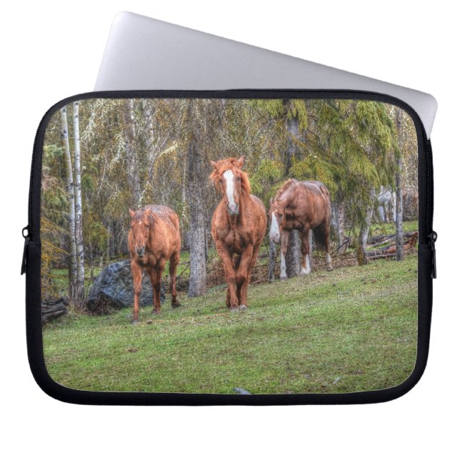 Drie Paarden Chestnut en Duns Equine-fotobos Laptop Sleeve (Voorkant)