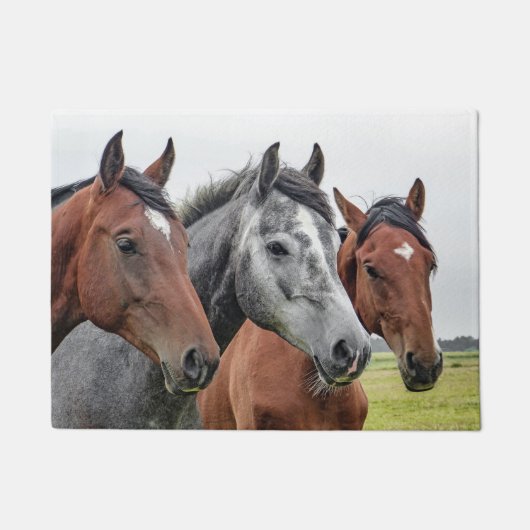 Drie paarden deurmat (Voorkant)