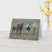 Drie Paarden en een Pony Kaart (Gele Bloem)
